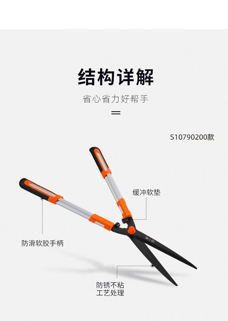 c6065c87fc30be40.jpg
