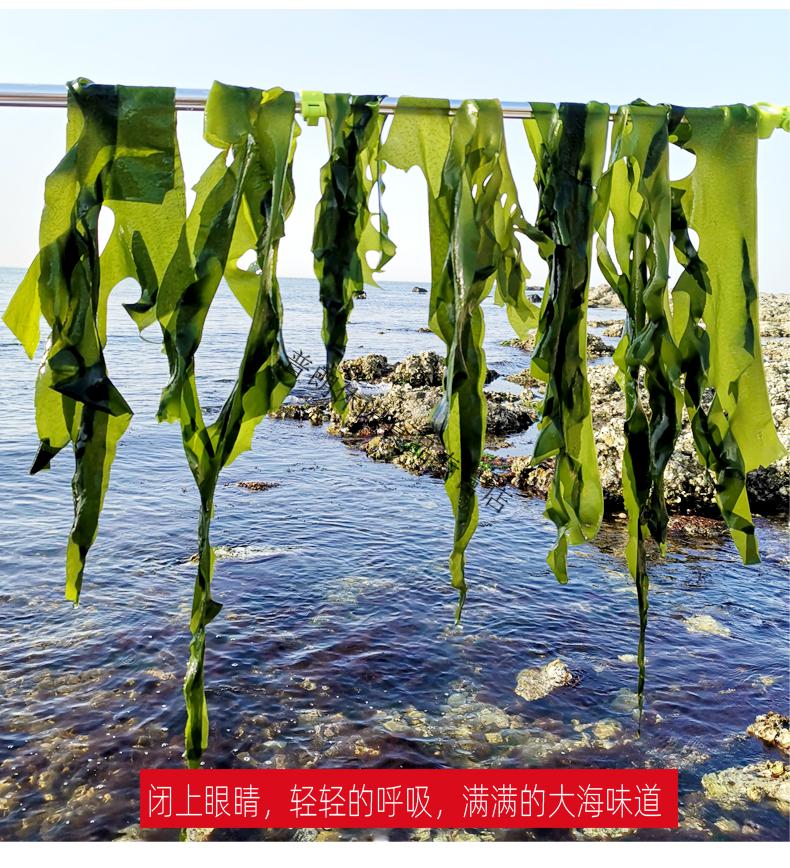 裙带菜干货小叶海带芽嫩新鲜牙苗非海带裙群带菜海裙菜 2袋 100g