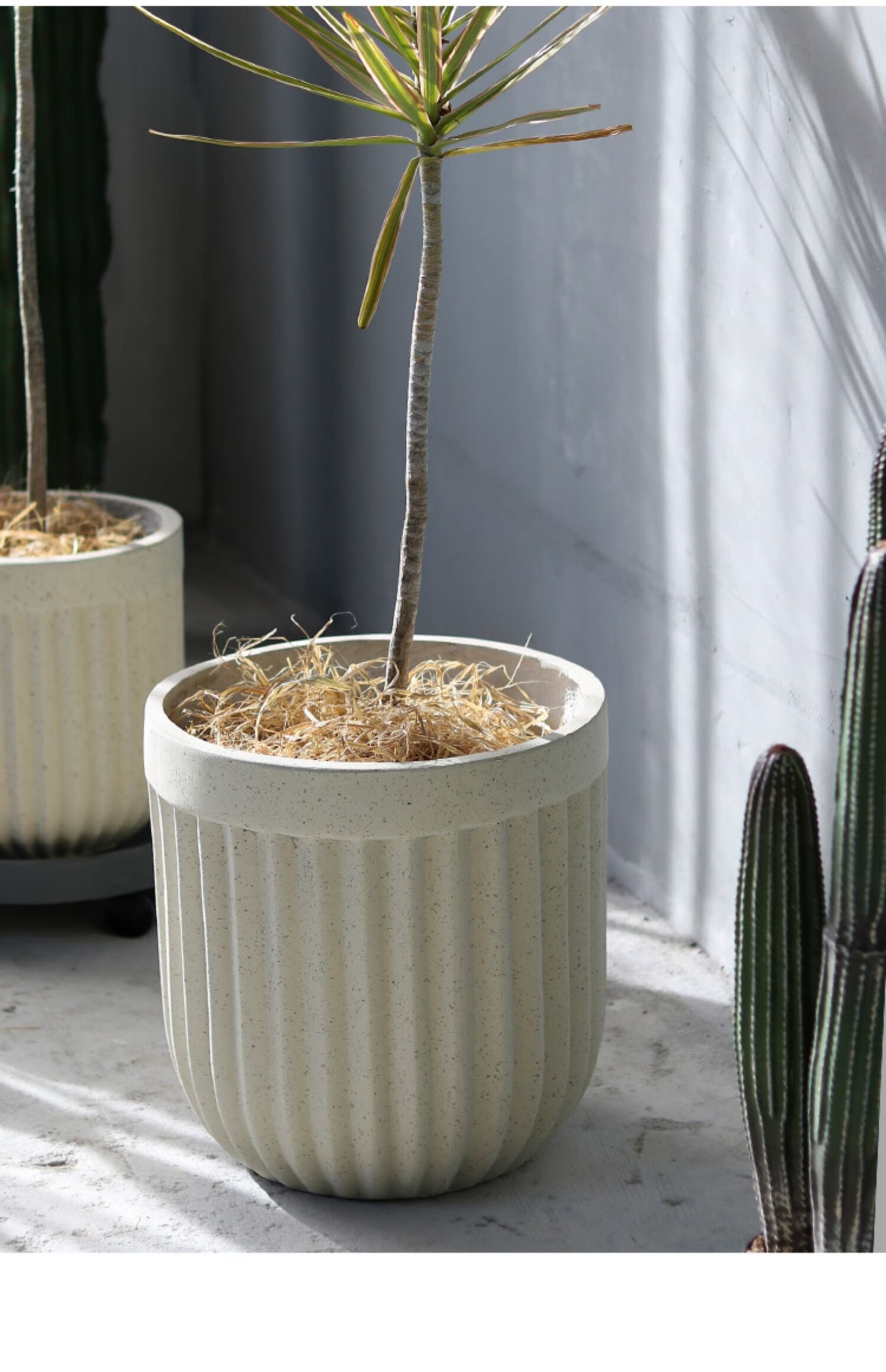 艺术花盆北欧氧化镁花盆简约现代创意圆形落地艺术盆客厅户外绿植盆栽