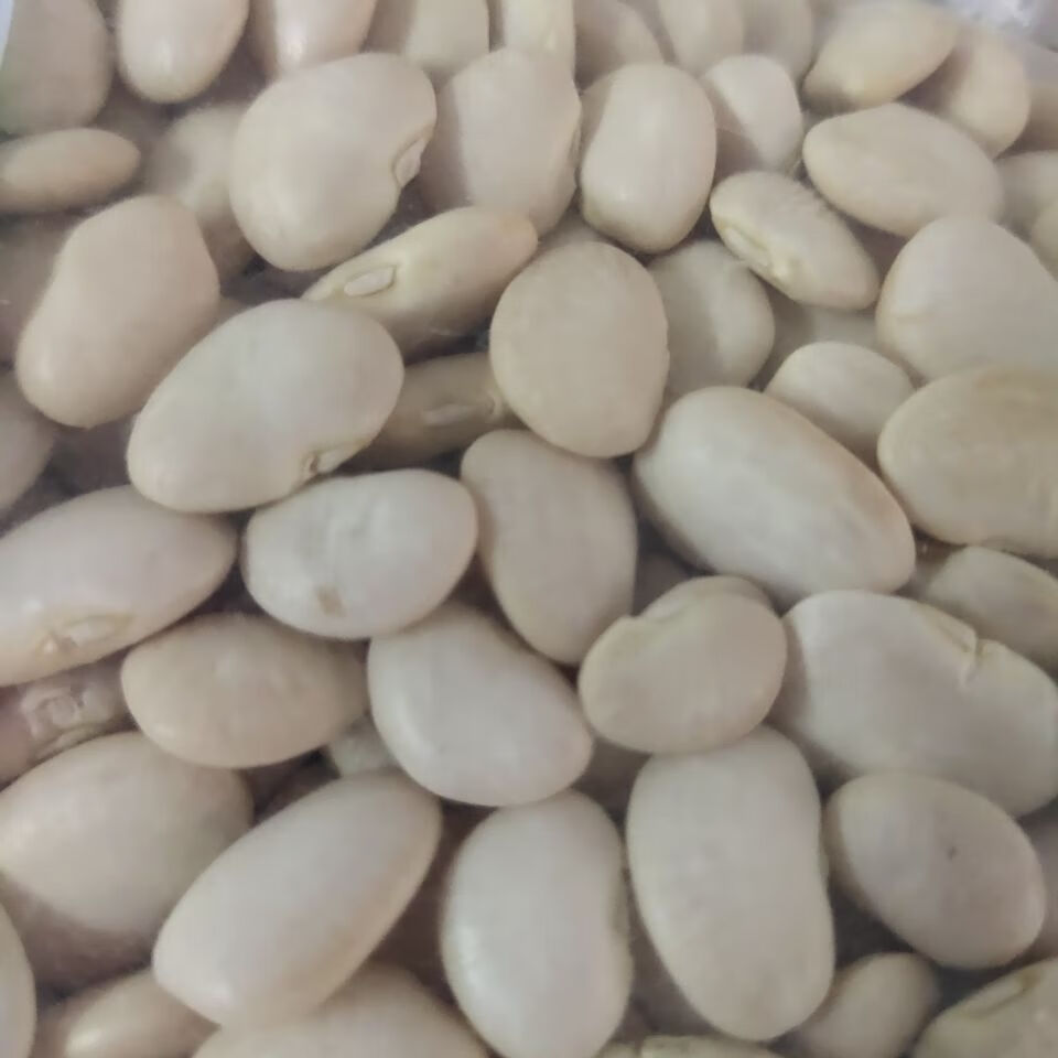 崇明白扁豆干洋扁豆干货白芸豆上海特产 1包500克【图片 价格 品牌