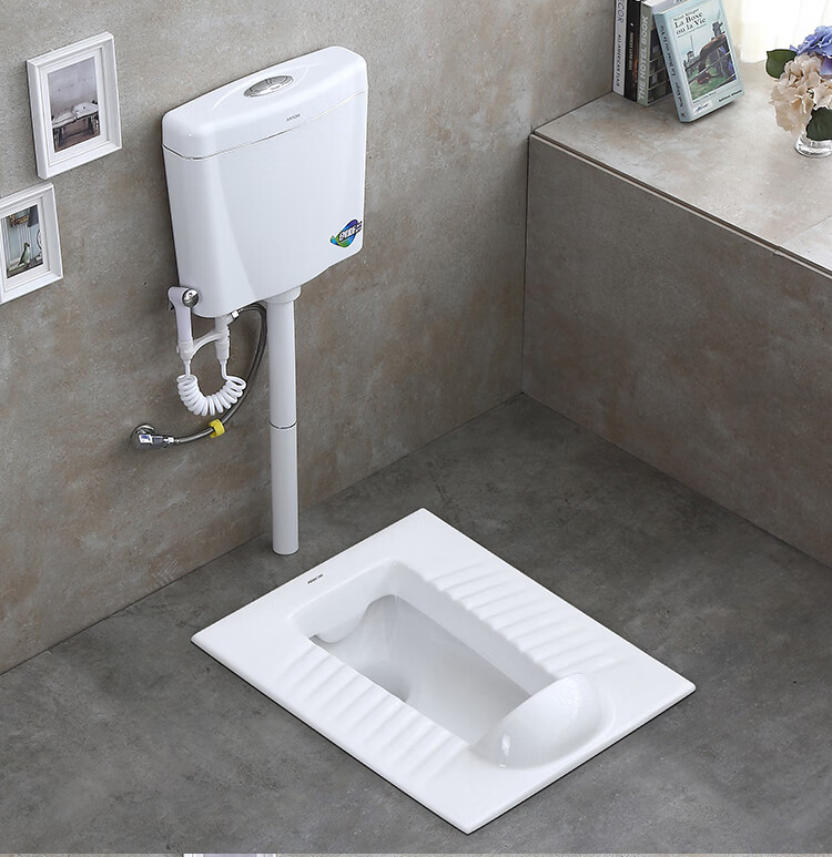 箭牌(arrow)蹲便器水箱套装公共厕所陶瓷防臭蹲厕家用带挡板蹲坑arrow