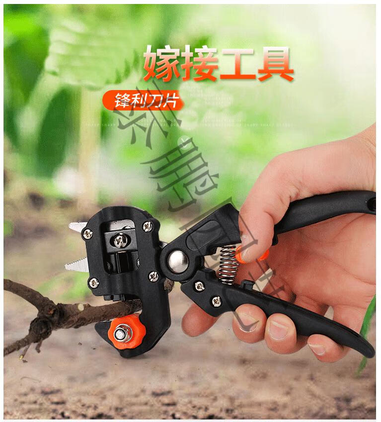 c33c287e4583cd6c.jpg