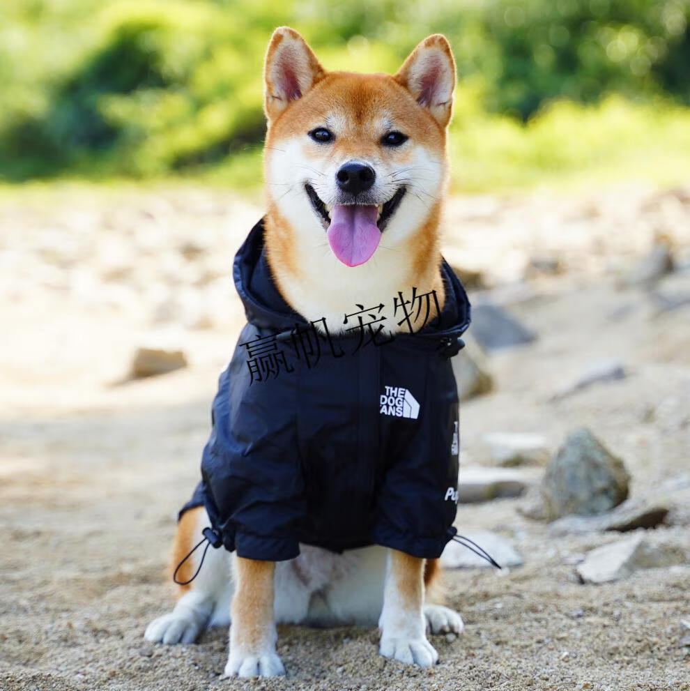 狗狗雨衣柴犬冲锋衣宠物雨披防风防水轻便透气连帽北面柯基 赤焰红
