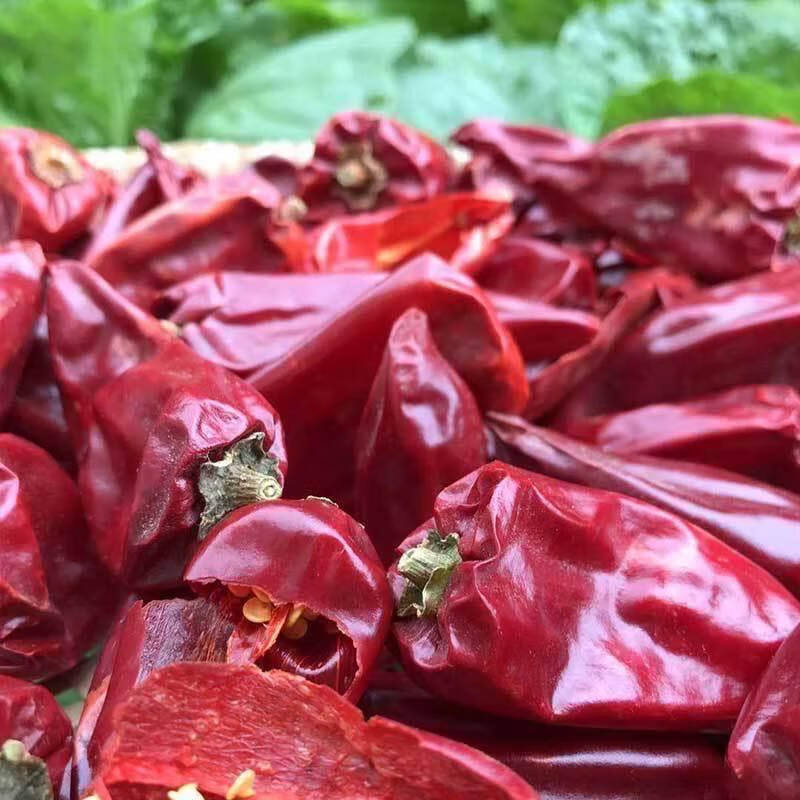 橙伯乐辣椒面不辣出红油红不辣辣椒粉铁板椒北京红益都红板椒一点也不