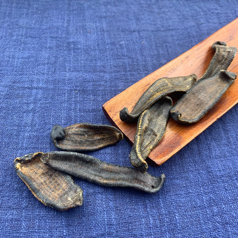 贺诚堂水蛭中药材50克新货50克