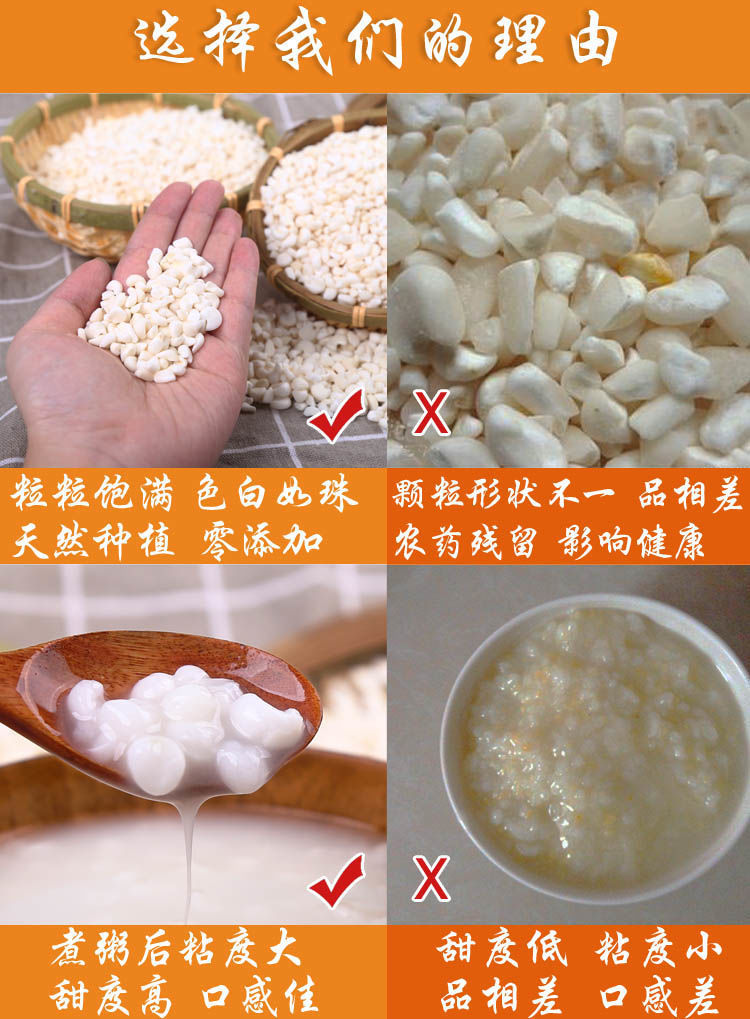 大颗粒雪芽米整粒去皮珍珠白糯玉米粒大渣子广西头煮粥大颗粒10斤一袋
