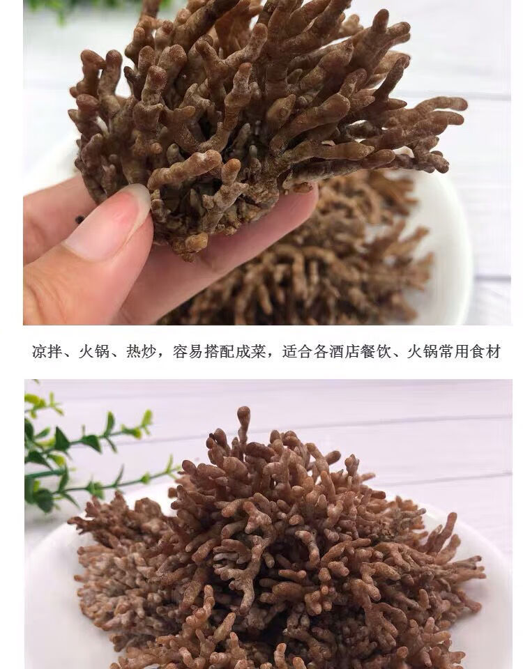 知言果武夷山特产野生新鲜鹿茸菌龙爪菇酒店养生食材 新鲜龙爪菌/500.