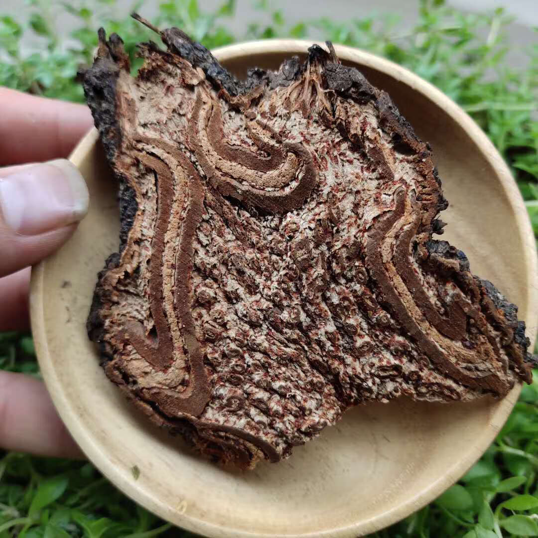 龙骨风飞天擒罗大贯众山卡捞劳飞天蠄蟧野生500g克 龙骨风500克【图片