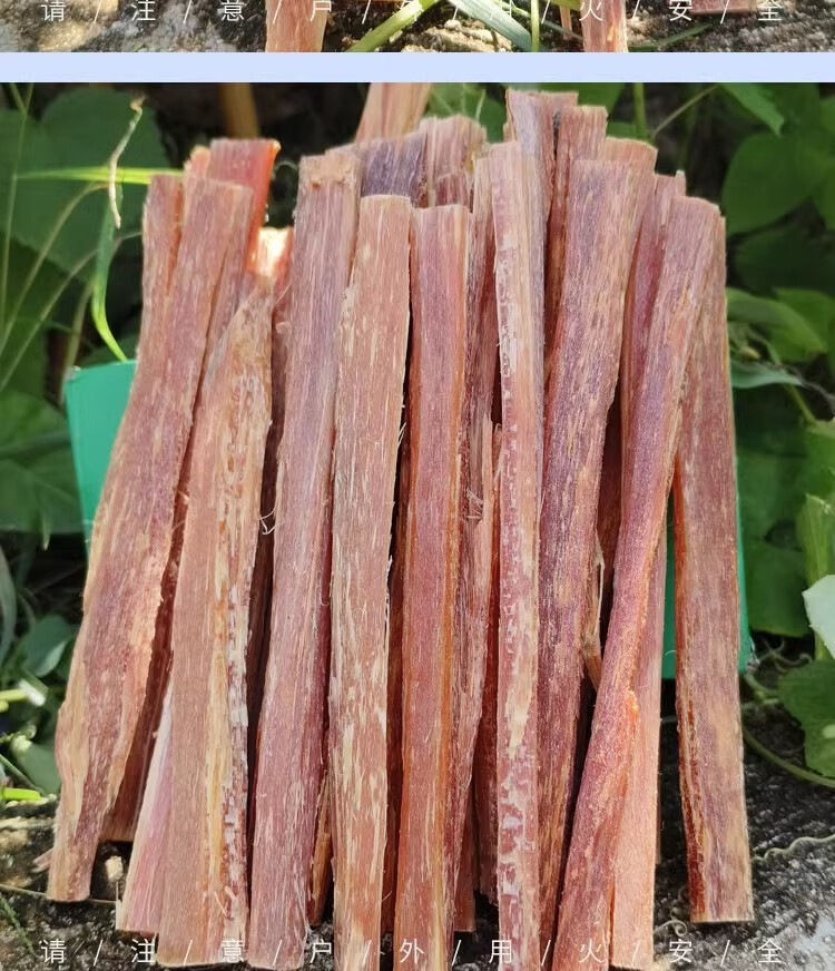 14957da8-7a51-48ca-8e3b-73ebd4b2242f.jpe