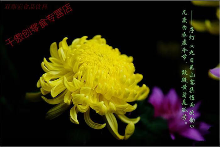 食芳溢 金菊酿菊花酒 2瓶装 土烧石冻春菊花酒 河南开封特产 文包武杨