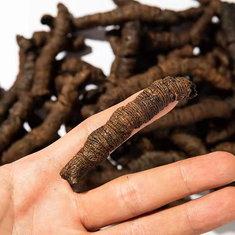 北京同仁堂 原料正宗德庆巴戟天鸡肠风熟制晒干无硫全抽芯泡酒煲汤料