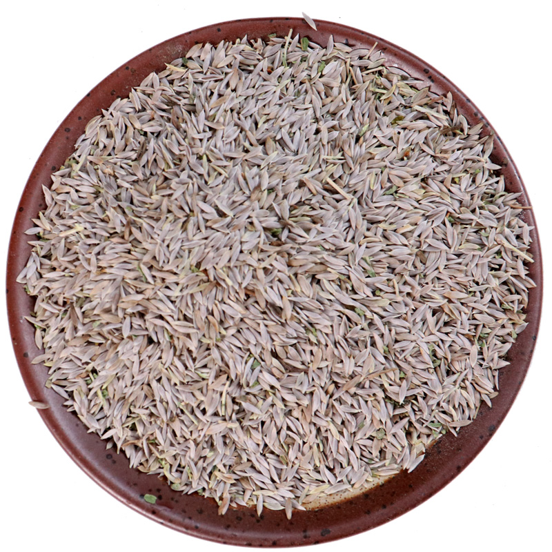 同仁堂一斤仟草御颜生菜籽白苣胜子白巨胜子莴苣籽生菜子500克【图片