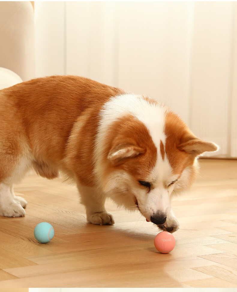 狗狗玩具球自嗨解闷电动逗狗神器智能耐咬泰迪博美比熊小狗宠物球