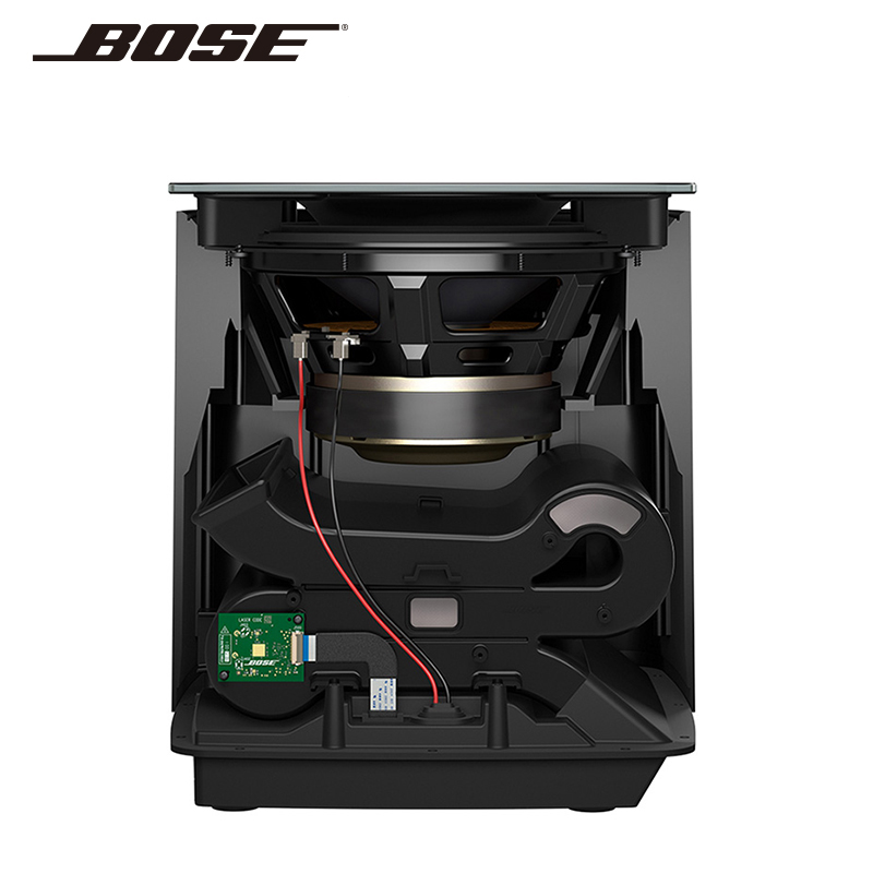 bose300低音炮拆解图片