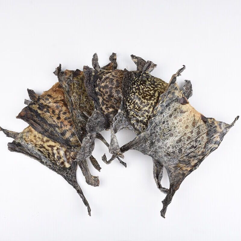 特大整张干10张癞赖蛤蟆皮蟾蜍衣皮粉干癞蛤蟆整张10张