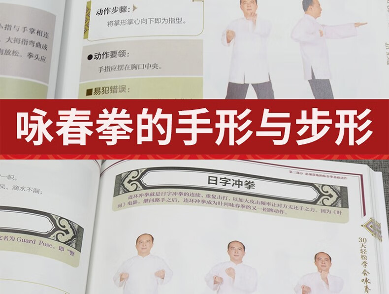 30天轻松学会咏春拳传统武术拳谱书籍入门自学书