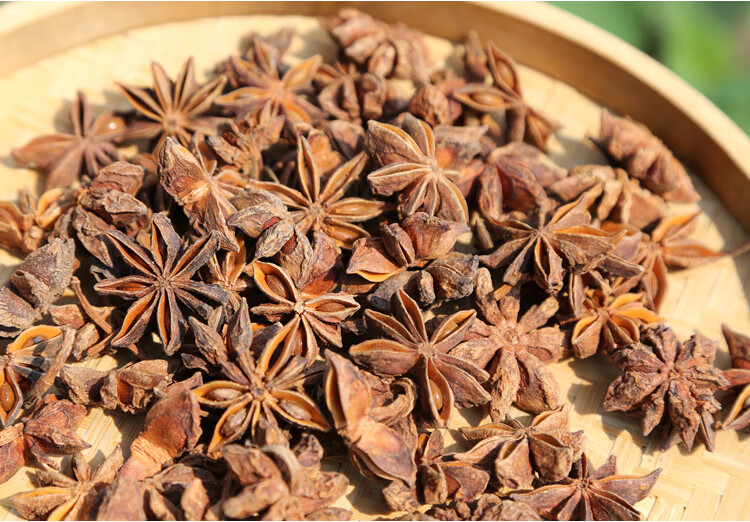 大茴香大回香茴香八角茴香大料调料非特级广西八角回香内廷上用500克