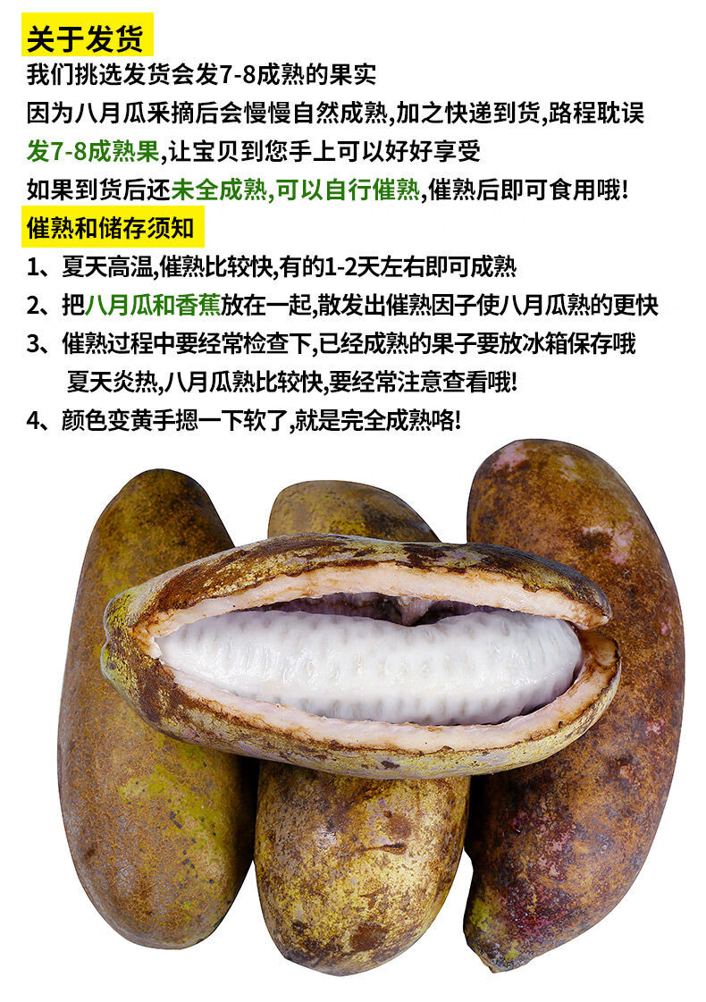 源外八月瓜网红水果罕见富贵果八月 预知子 礼水果 5斤精选大果 八月