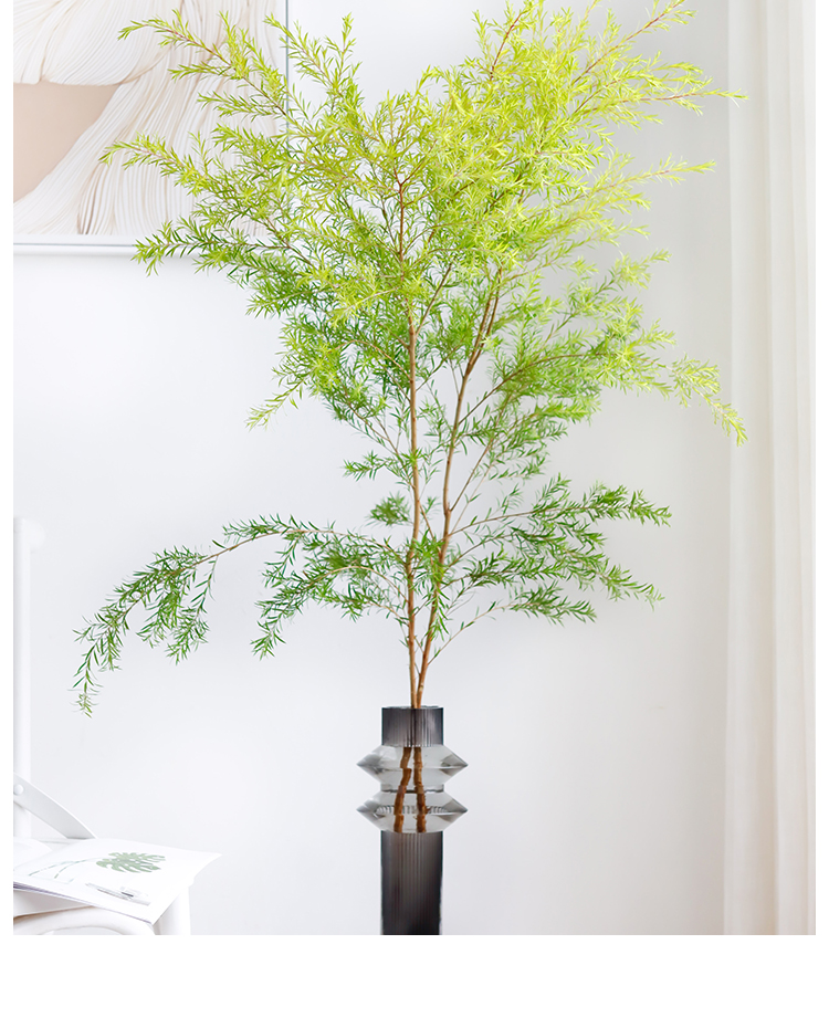 黄色千层金鲜花家用水养办公室插花禅意香松鲜切枝清凉款母亲节生日