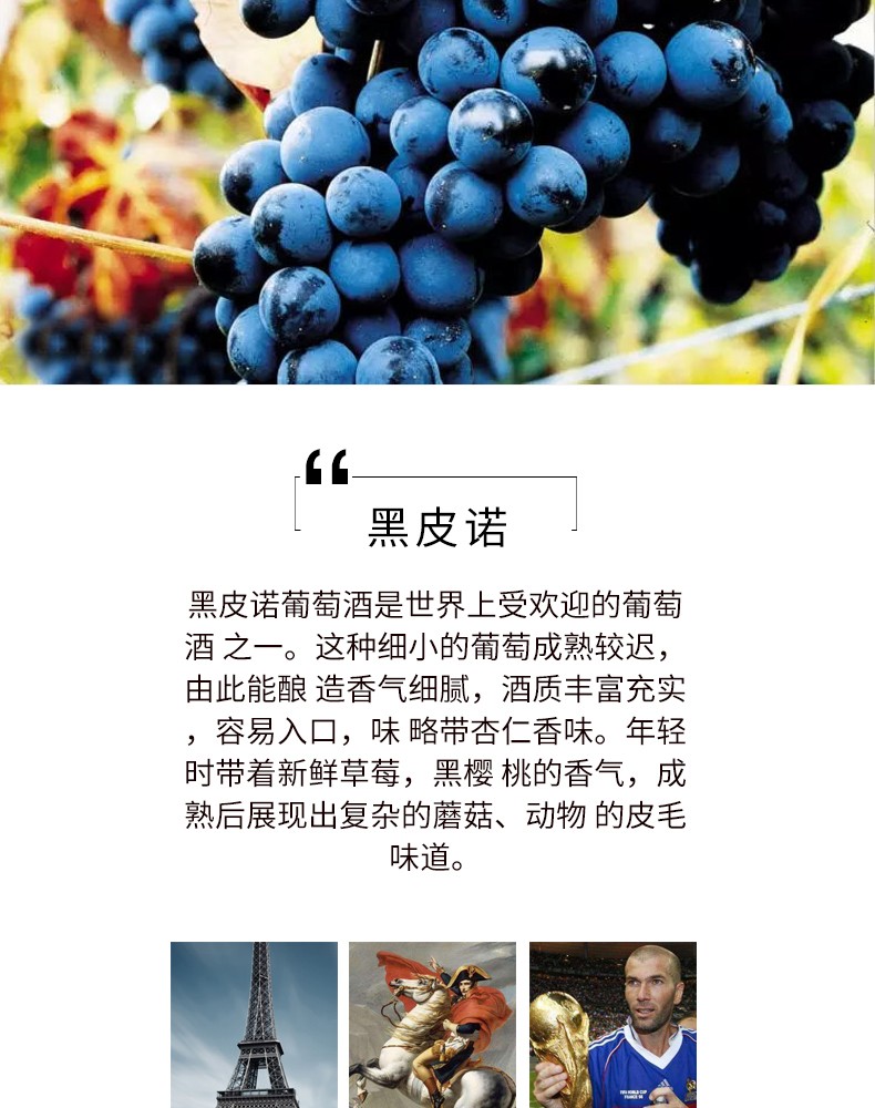 134les jamelles pinot noir法國萊禮士黑比諾乾紅葡萄