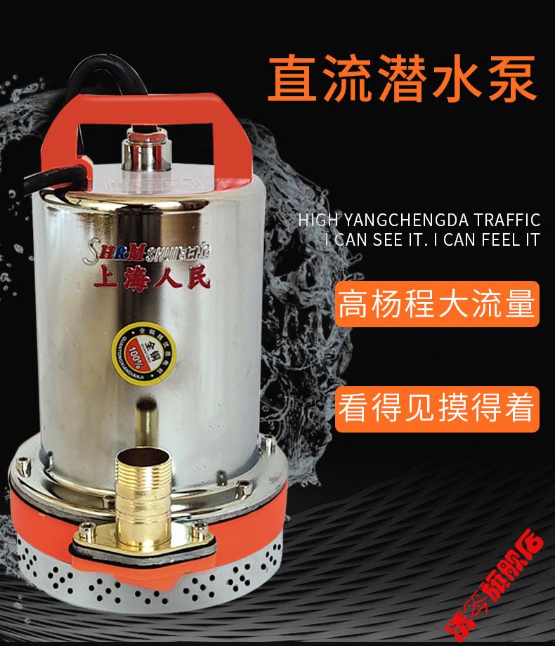 上海人民直流潜水泵48v60v伏农用电瓶抽水机12v抽水泵水泵旗舰款48v2f