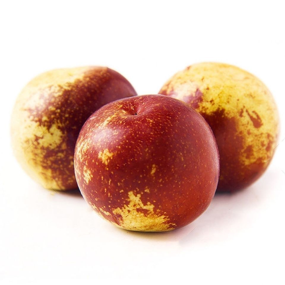 伯贤(boxian)冰糖枣,核小肉厚,脆甜无渣.现摘现发,产地直发.