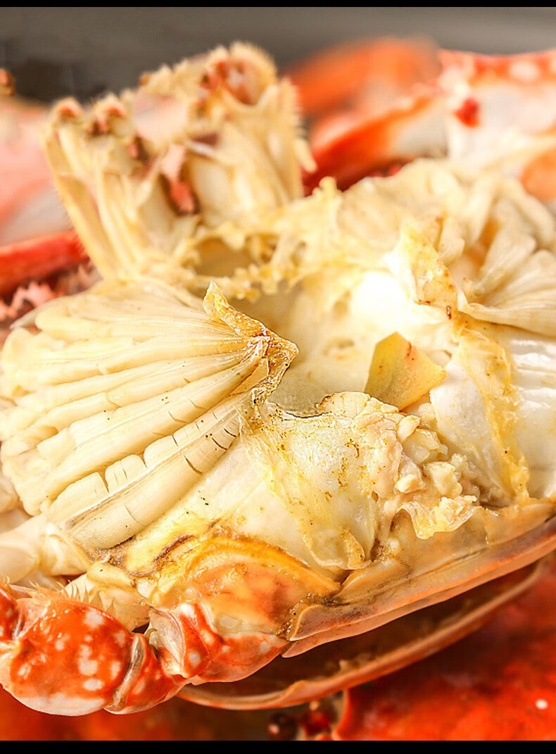莱州鲜活梭子蟹 鲜活梭子蟹 新鲜飞蟹 特大海螃蟹 满黄红膏母蟹 生鲜