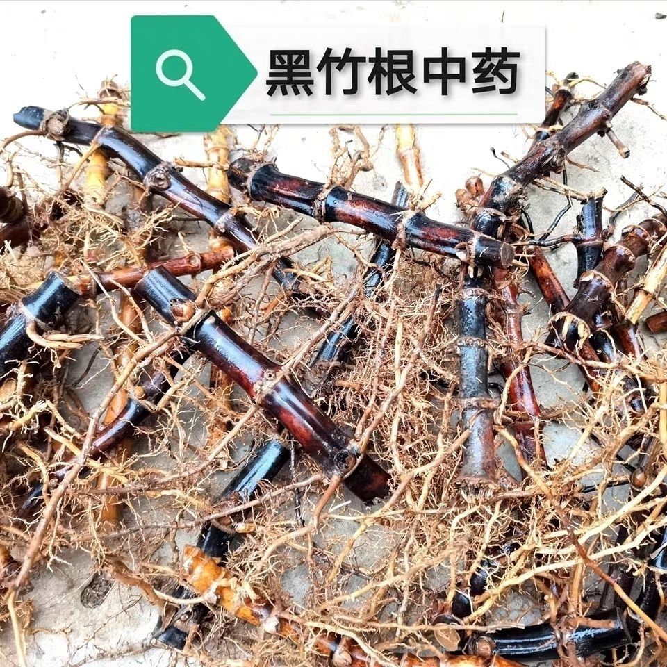 北京同仁堂原料 紫竹根黑竹根,十年以上老竹根内廷上用 新鲜紫竹根2两