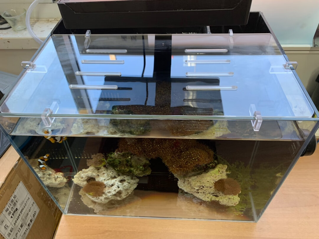 亚克力鱼缸防跳盖板 鱼缸盖板防跳网高透送托架配件客厅金鱼缸上顶部