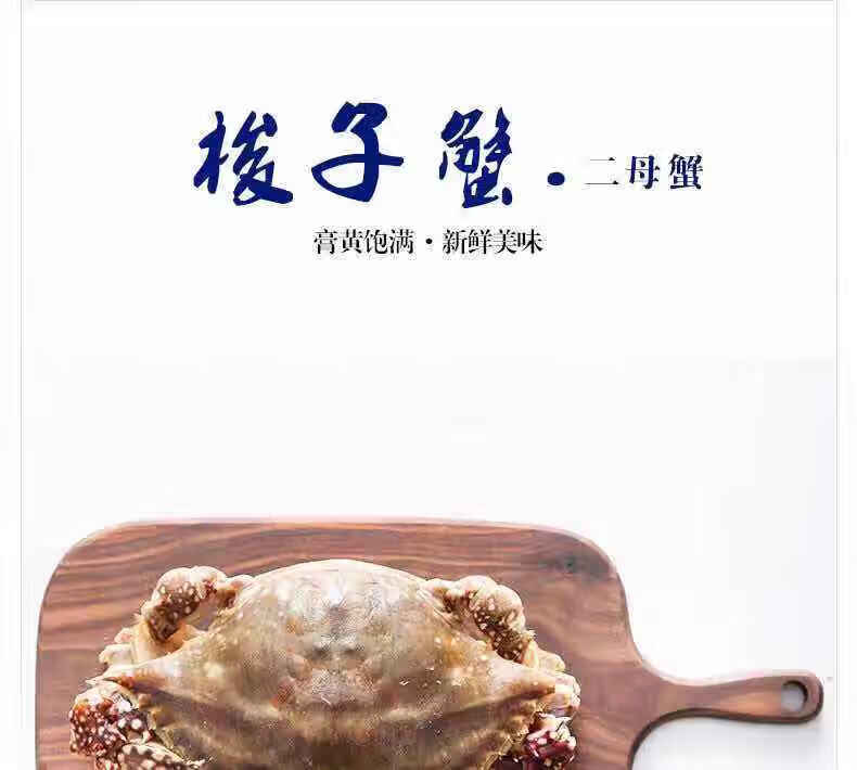 荟鲜港 新鲜冷冻梭子蟹母蟹海鲜水产大螃蟹花脐蟹飞蟹二母蟹海鲜呛蟹