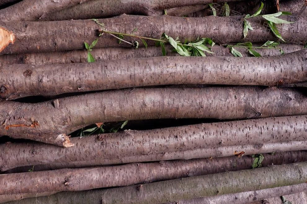 小米生态同款野生桃木原木料实木硬木料diy手工雕刻簪子刀柄料