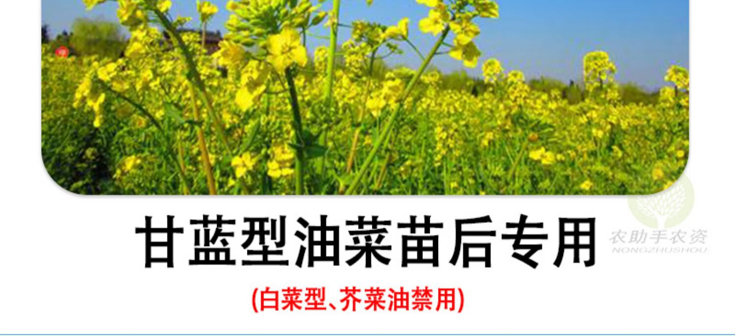 苗后除草剂thxm7411 草除灵油菜田30%氨氯·二氯吡禾阔精喹禾灵 55ml