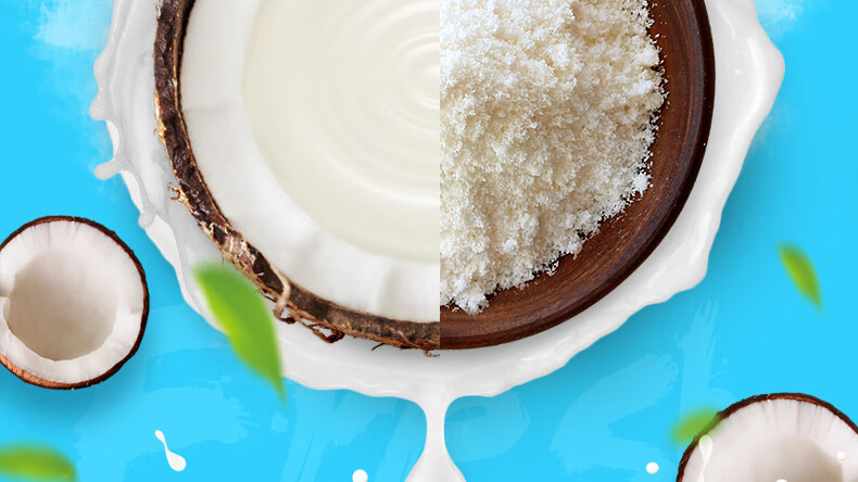 南国食品原味椰子粉/袋装速溶椰汁无糖精无添加糖海南特产 速溶椰子粉