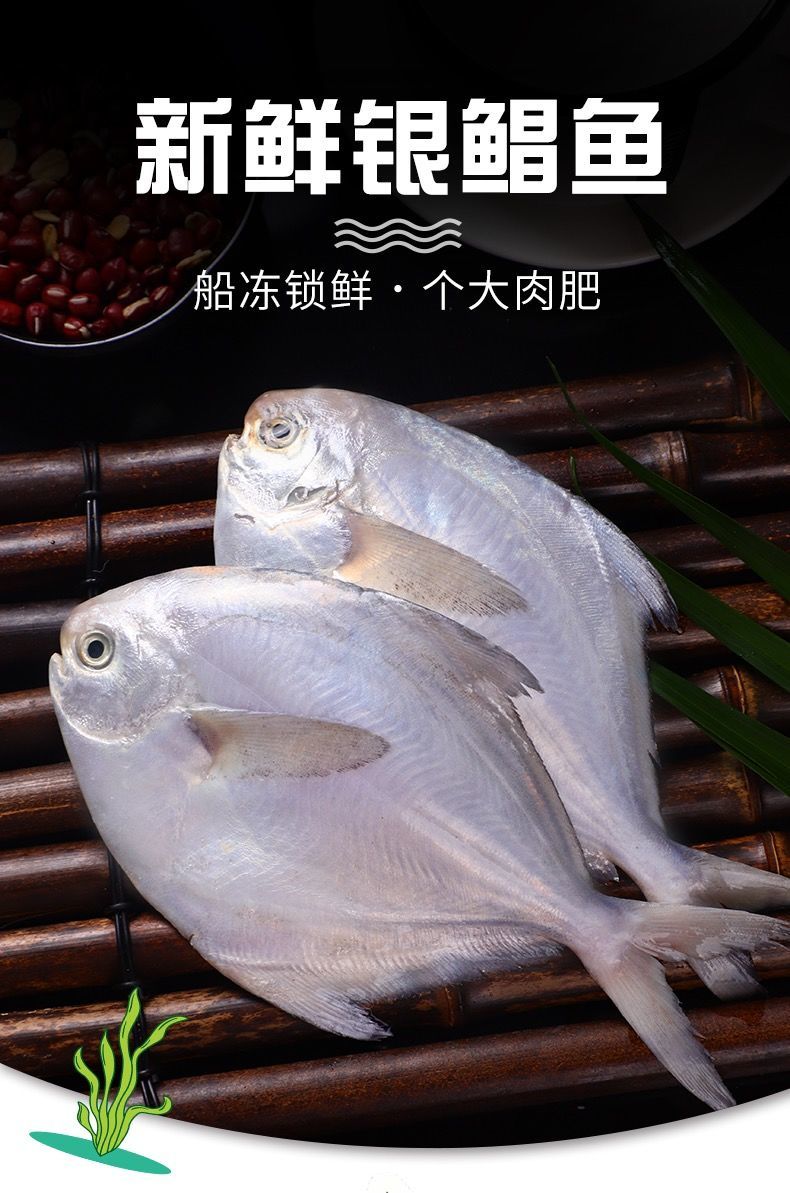 银鲳鱼新鲜白鲳鱼平鱼舟山冷冻鲳鱼海鲜水产克雷蒙4斤装每斤6条左右