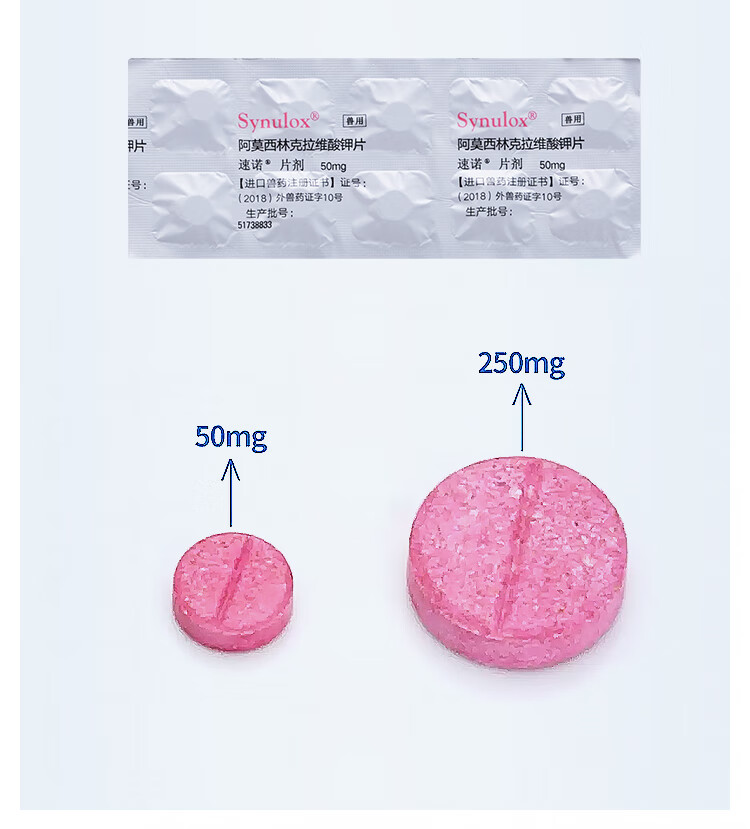 30辉瑞速诺片剂50mg宠物猫咪狗犬药感染皮肤病10粒