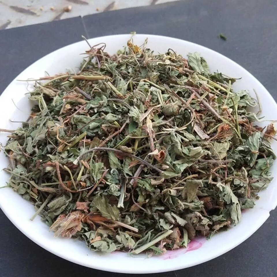 蛇莓草图片 药用图片