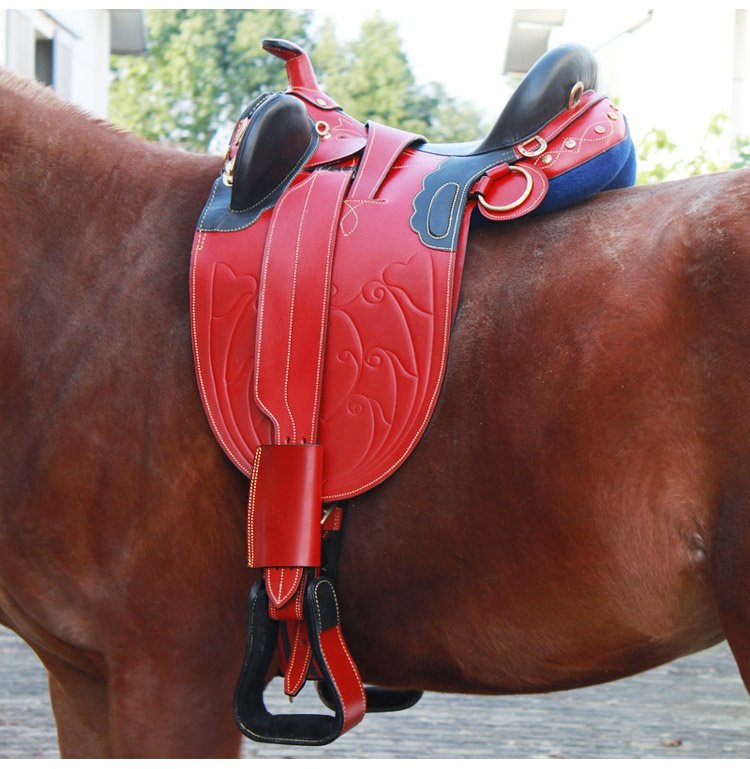 马术骑马马鞍澳洲鞍全套牛皮花纹鞍具系列澳洲马鞍 红