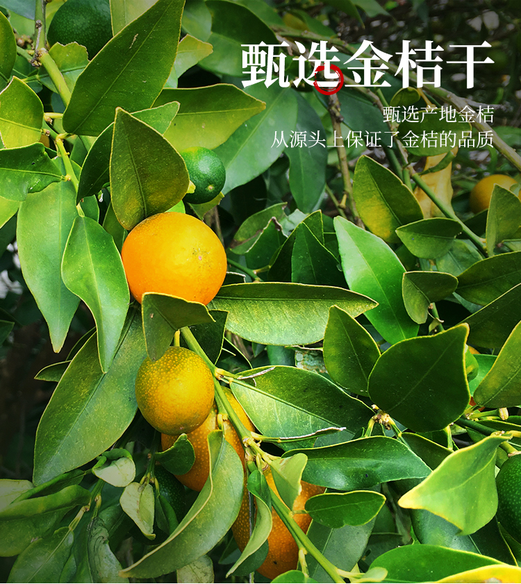 陌上花开 共2罐装 金桔干金桔片金橘干搭柠檬片水果茶桔子干橘子皮可