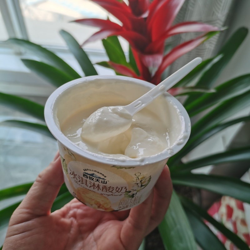 西牧天山冰淇淋酸奶整箱新疆儿童低温风味发酵乳冷藏酸奶120g*14杯