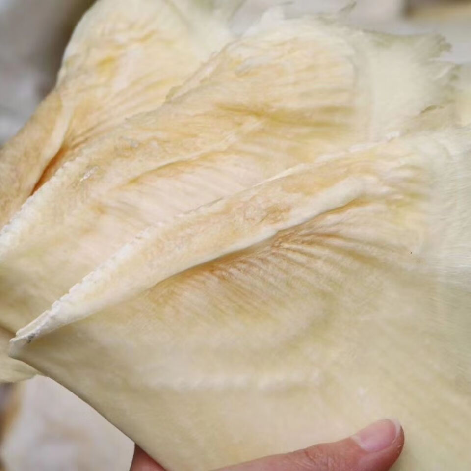 授权店铺 干货鱼翅乌羊骨翅鱼翅-寸热门鱼翅滋补美食足干家用餐饮食材