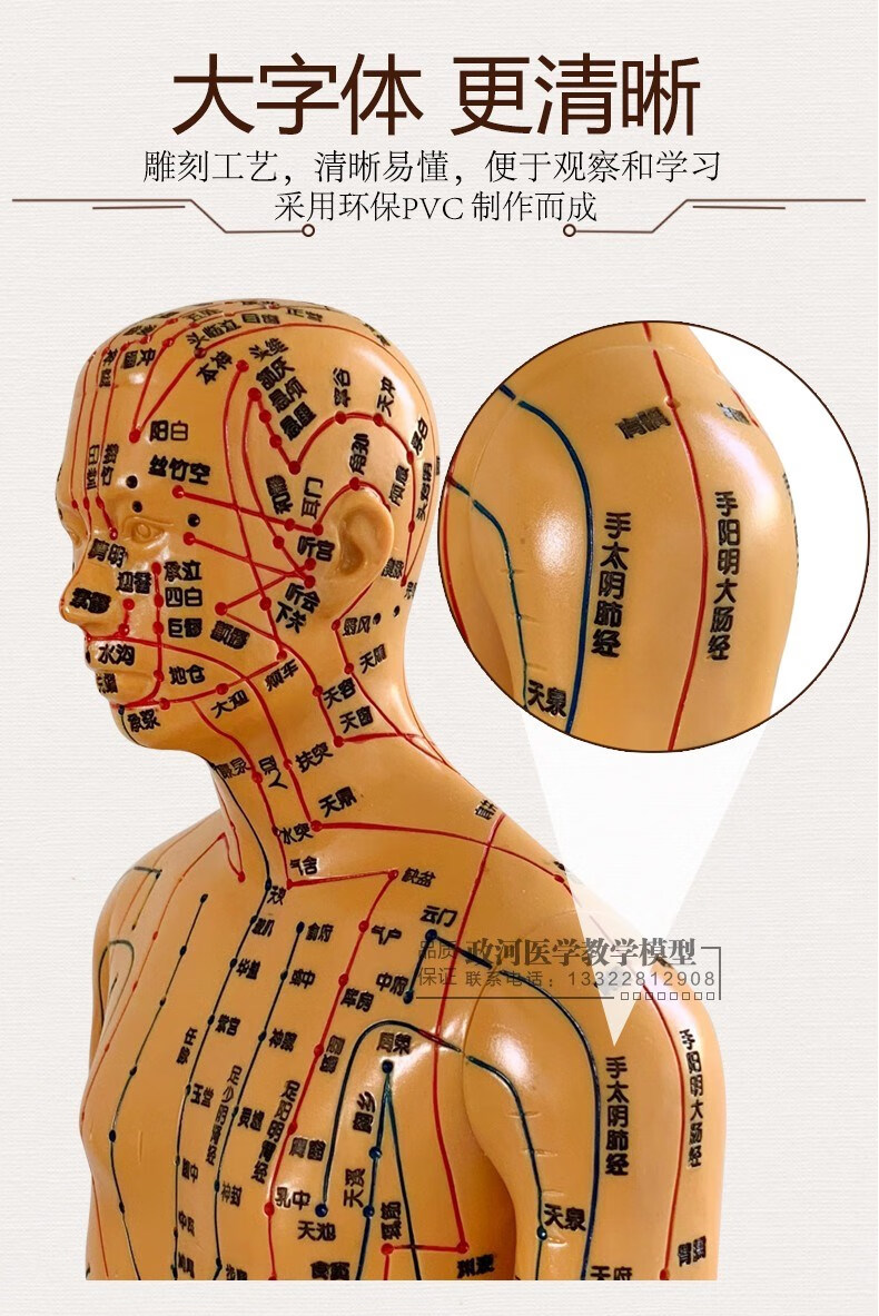 超清晰经络通男女人体模型人体经络图中医铜人针灸穴位模型小人 60