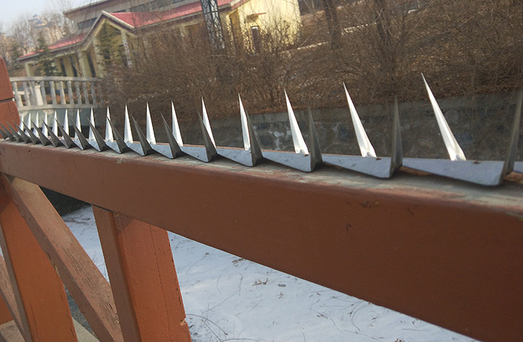 防爬刺钉热镀锌围墙别墅防盗刺铁刺墙头不锈钢防爬钢刺围栏刺 黑色热