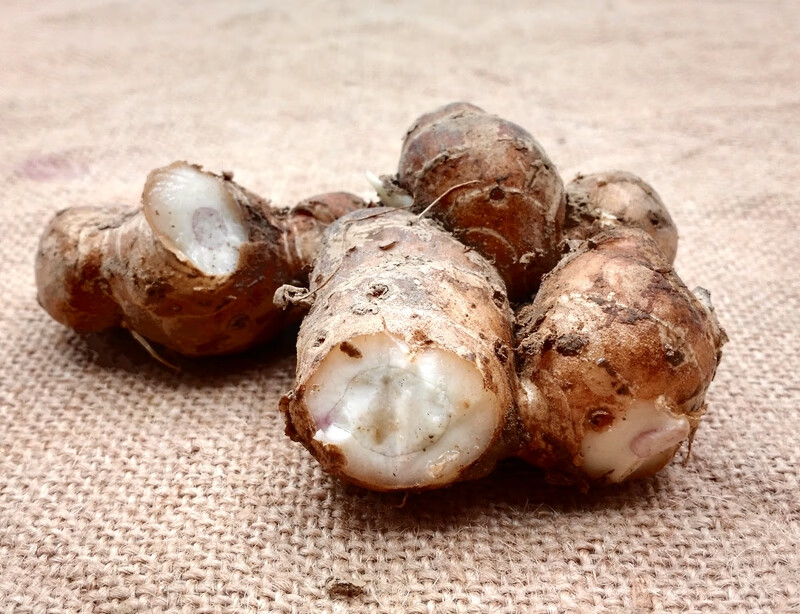 沙姜新鲜茂名高州特产沙姜山奈砂姜白切鸡椰子鸡猪脚配料2斤