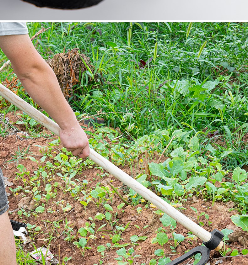 二齿钉耙加厚大号铁耙子赶海园艺农具松土锄头地耙地翻土两齿长柄 flh