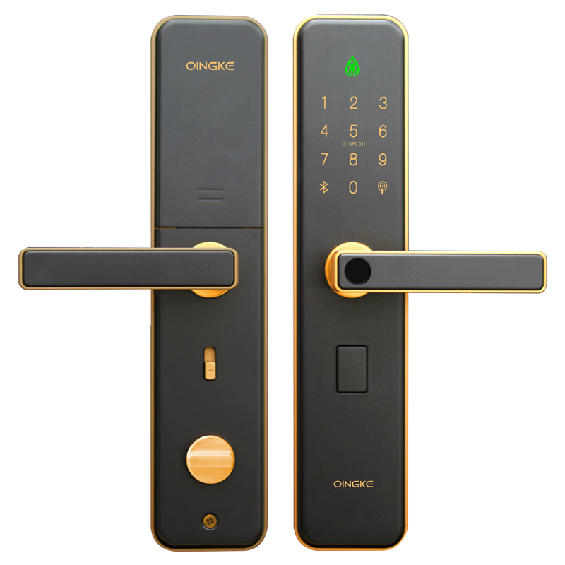 青稞智能锁e5双开门搭配使用装饰锁假锁对开门指纹锁配锁 典雅金