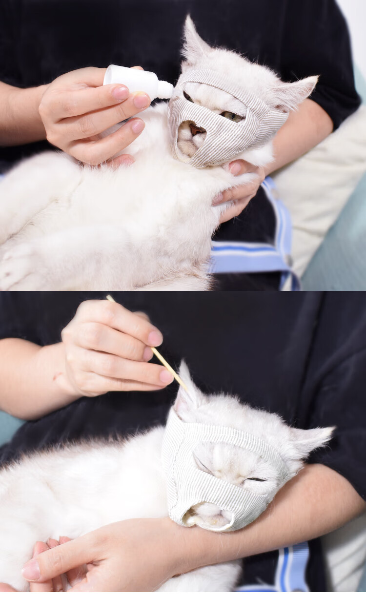 宠物猫咪嘴套防咬人止叫器猫口罩嘴罩面罩防猫叫扰民神器防叫器8-10斤