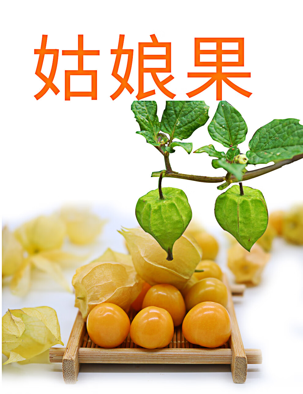 精选新鲜姑娘果菇鸟黄谷鸟菇娘果灯笼果新鲜水果3斤精选