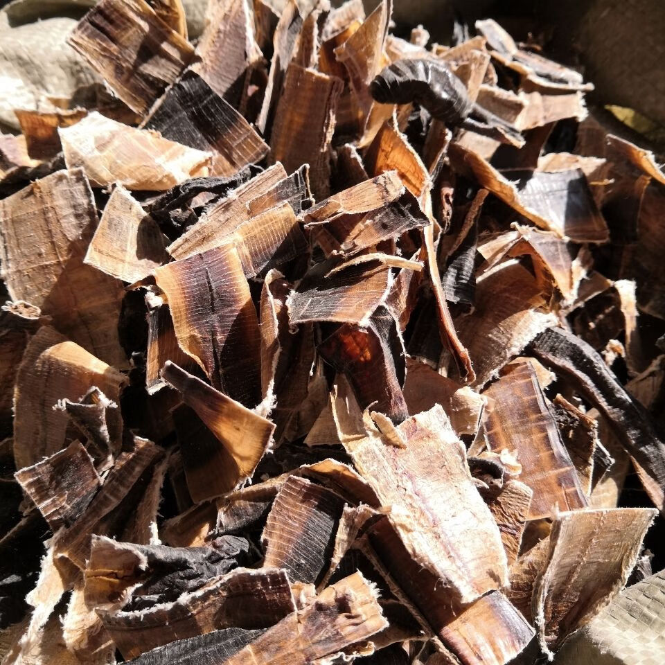 地龙干片地龙粉中药材蚯蚓皮干广西野生全开无土大片货地龙皮干