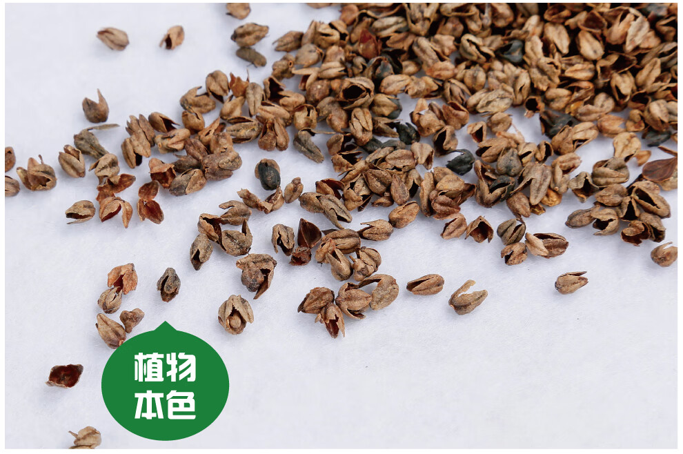 双漫散装荞麦壳荞麦皮枕头枕芯填充物甜荞麦黄苦荞麦壳珍珠棉500g