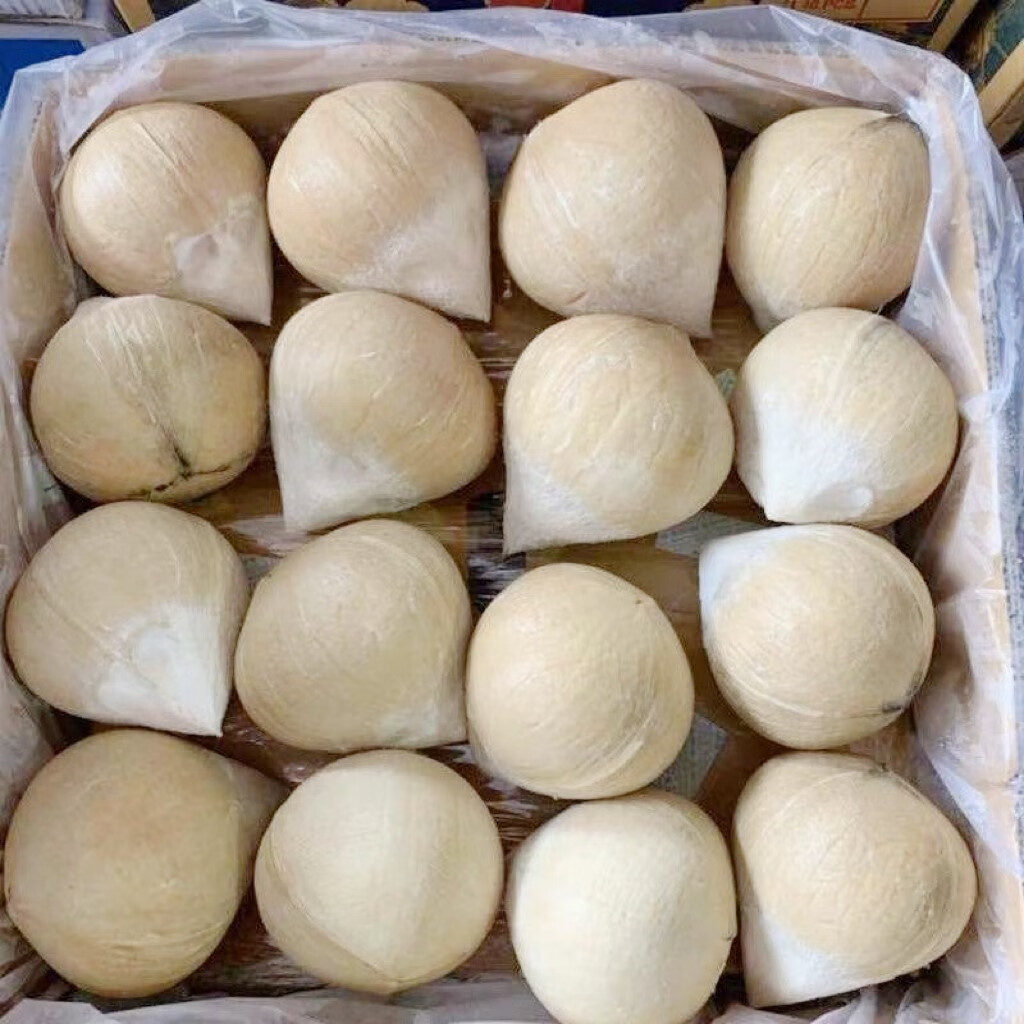 媚调顺丰速运 三亚牛奶香椰子海南小奶椰芋奶香浓郁新鲜水果椰皇 10个